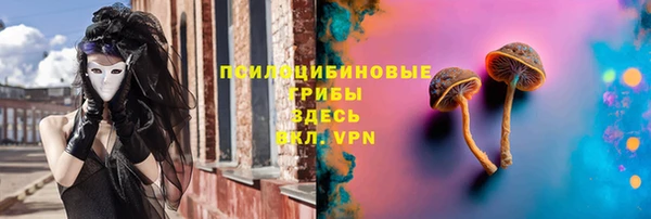 мдпв Бронницы