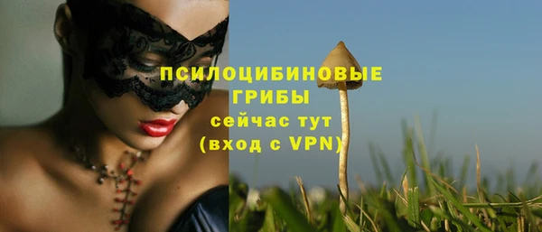 экстази Белокуриха
