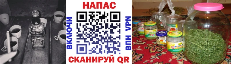 Бошки Шишки ГИДРОПОН  Вяземский 